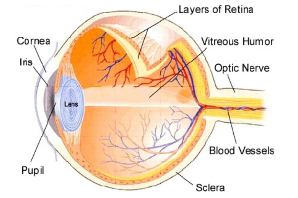eye-diagram