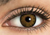 FreshLook One-Day Pure Hazel Contact Lens Detail