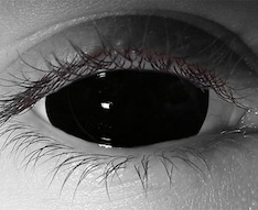 Mini Sclera